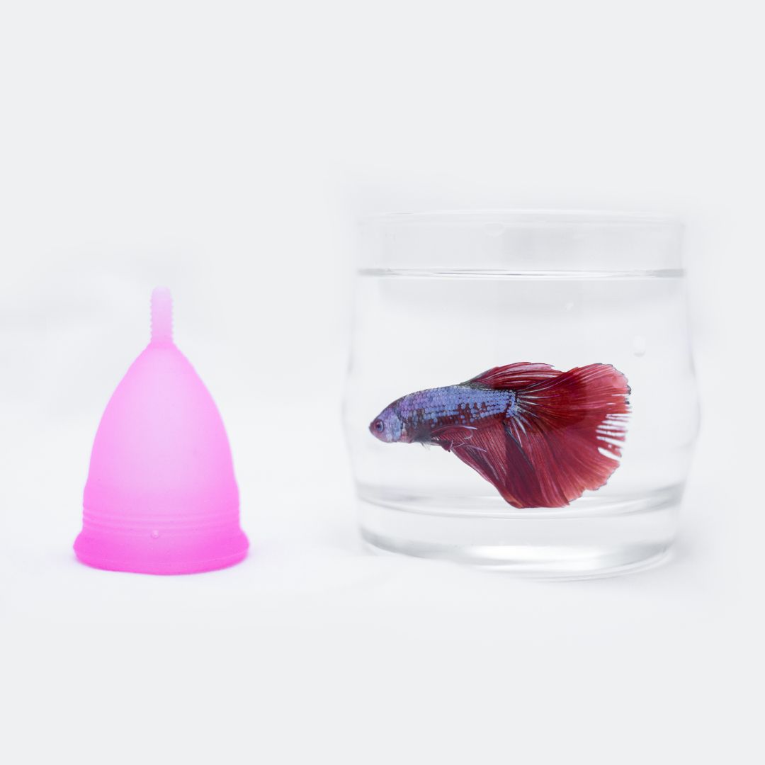 Fezy menstrual cup - S and L