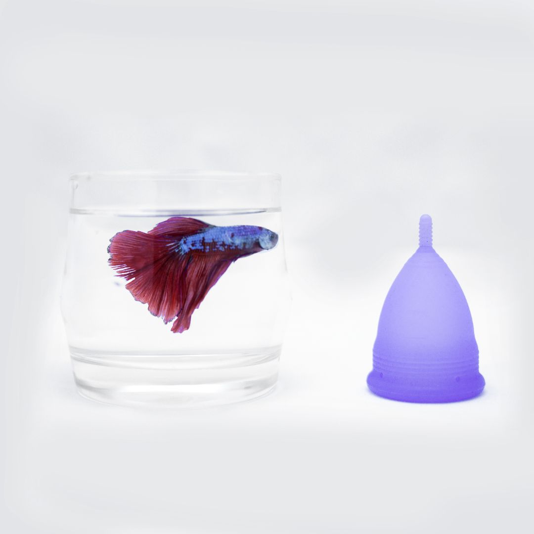 Fezy menstrual cup - S and L